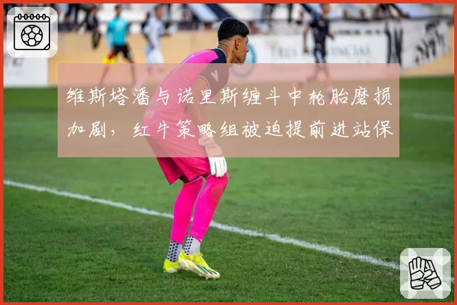 维斯塔潘与诺里斯缠斗中轮胎磨损加剧,红牛策略组被迫提前进站保第二